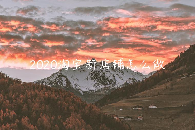 2020淘宝新店铺怎么做